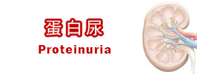 蛋白尿